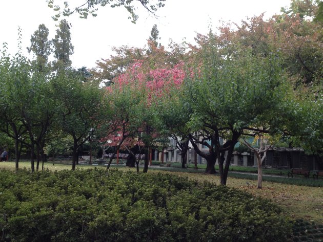 慶尚監営公園内の風景